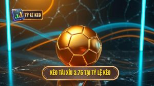 Kèo tài xỉu 3.75 tại TỶ LỆ KÈO